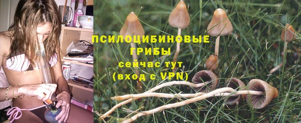 СК Балахна