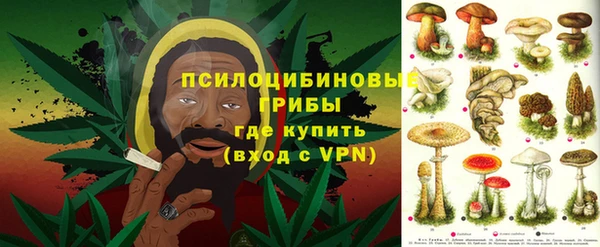 СК Балахна